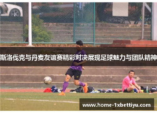 斯洛伐克与丹麦友谊赛精彩对决展现足球魅力与团队精神